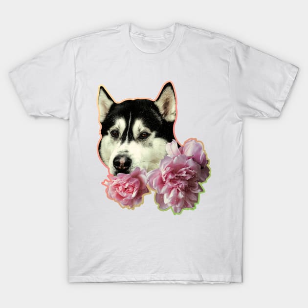 Floral Dog T-Shirt by FreshTeas